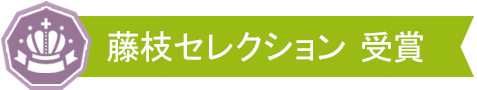 藤枝セレクション受賞